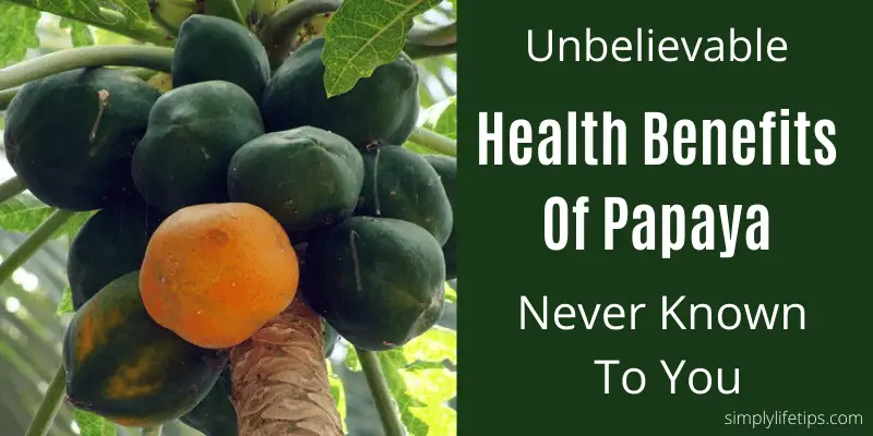 Health Benefits Of Papaya ImmunityBooster