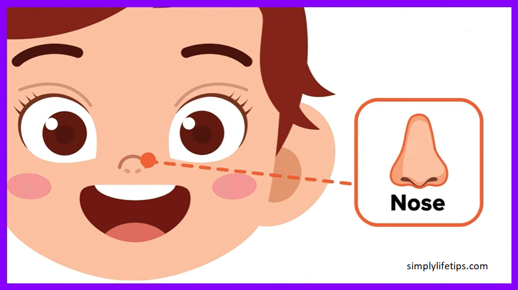 Parts Of The Human Head For Kids Learning Simply Life Tips