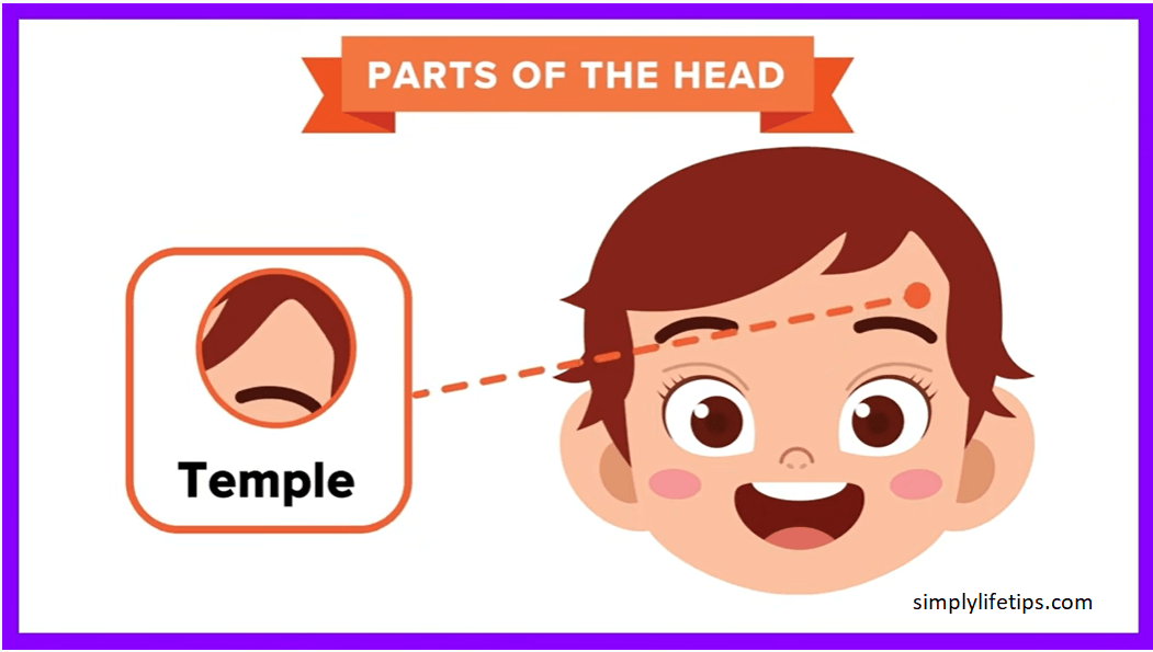 Parts Of The Human Head For Kids Learning Simply Life Tips